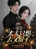《霍总,太太只想去父留子》小说封面
