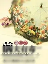 《重生之前夫有毒》小说封面