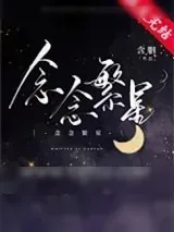 《念念繁星》小说封面