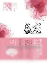 《盛宠（时光抢不走的你）》小说封面