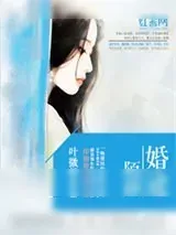 《婚途陌路（豪门夺爱：冷枭总裁替代妻）》小说封面