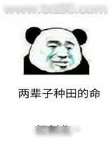 《第九农学基地》小说封面