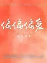 《偏偏偏爱》小说封面
