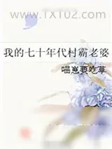 《我的七十年代村霸老婆》小说封面