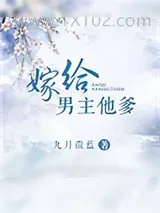《嫁给男主他爹》小说封面