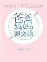 《爸爸妈妈要离婚》小说封面
