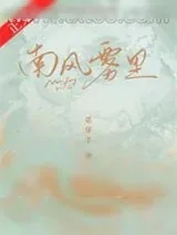 《南风雾里》小说封面