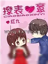 《撩表心意》小说封面