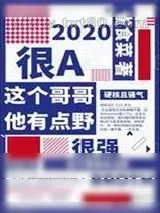 《这个哥哥有点野》小说封面