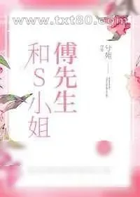 《傅先生和S小姐》小说封面