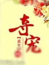 《夺宠》小说封面