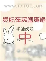 《贵妃在民国离婚中》小说封面