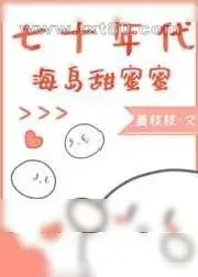 《七十年代海岛甜蜜蜜》小说封面