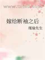 《嫁给断袖之后》小说封面