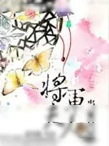 《将军夫人的当家日记》小说封面