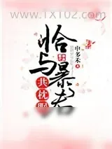 《恰与暴君共枕眠（穿书）》小说封面