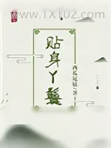 《贴身丫鬟》小说封面