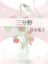《三分野》小说封面