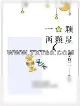 《一颗两颗星》小说封面