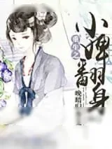 《重生之小婢翻身》小说封面