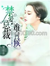 《禁爱总裁难伺候》小说封面
