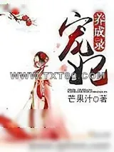 《宠妃养成录》小说封面