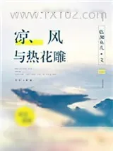 《凉风与热花雕》小说封面