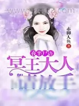 《夜半尸语：冥王大人请放手》小说封面