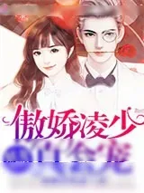 《妖妻甜甜哒，傲娇凌少真会宠》小说封面