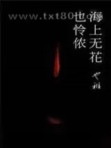《海上无花也怜侬》小说封面