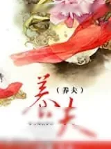 《养夫》小说封面