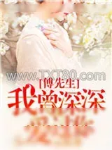 《傅先生，我曾深深爱过你》小说封面