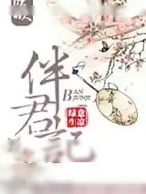 《伴君记》小说封面