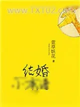 《结婚小离谱》小说封面