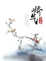 《娇气》小说封面