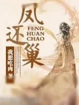 《凤还巢》小说封面
