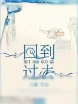 《回到过去》小说封面