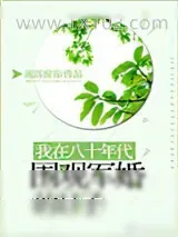 《我在八十年代围观军婚的日子》小说封面