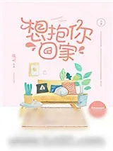《想抱你回家》小说封面
