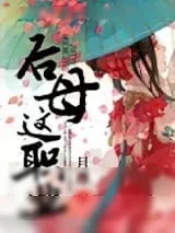《后母这职业》小说封面