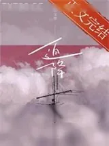 《迫降》小说封面