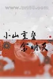 《小山重叠金明灭》小说封面