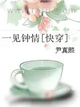 《一见钟情[快穿]》小说封面