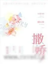 《撒娇》小说封面