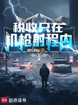《税收只在机枪射程内！》小说封面
