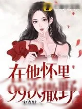 《在他怀里99次撒野》小说封面