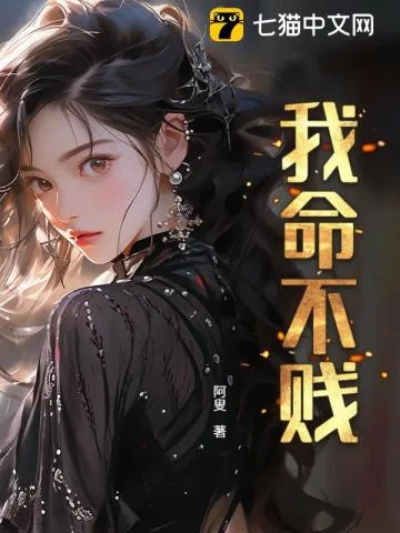 《我命不贱》小说封面