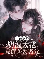 《一夜沦陷，阴湿大佬竟低头要名分》小说封面