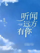 《听闻远方有你》小说封面