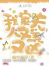 《我家夫人又美又凶》小说封面